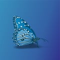 Butterfly icon, Cute Cartoon Funny Character with Colorful Wings, Flying Insect Ã¢â¬â Flat Design Royalty Free Stock Photo