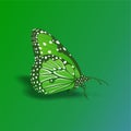 Butterfly icon, Cute Cartoon Funny Character with Colorful Wings, Flying Insect Ã¢â¬â Flat Design Royalty Free Stock Photo