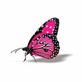 Butterfly icon, Cute Cartoon Funny Character with Colorful Wings, Flying Insect in White Background Royalty Free Stock Photo