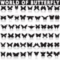 Butterfly icon set