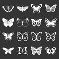 Butterfly icons set grey vector Royalty Free Stock Photo