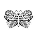 Butterfly hand drawn illustration. Royalty Free Stock Photo