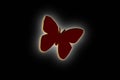 Butterfly illustration design on the black background