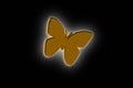 Butterfly illustration design on the black background