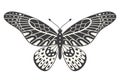 Butterfly illustration, vector. Y2k style aesthetic, wing shapes in front view