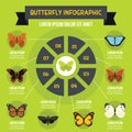 Butterfly infographic concept, flat style