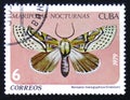 butterfly with the inscription Noropsis hieroglyphica, series, circa 1979