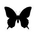 Butterfly insect black silhouette animal Royalty Free Stock Photo