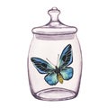 Butterfly inside transparent glass jar. Hand-drawn watercolor illustration isolated on white background. For postcards Royalty Free Stock Photo