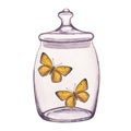 Butterfly inside transparent glass jar. Hand-drawn watercolor illustration isolated on white background. For postcards Royalty Free Stock Photo