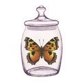 Butterfly inside transparent glass jar. Hand-drawn watercolor illustration isolated on white background. For postcards Royalty Free Stock Photo