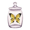 Butterfly inside transparent glass jar. Hand-drawn watercolor illustration isolated on white background. For postcards Royalty Free Stock Photo