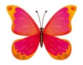 Butterfly isolated. EPS10 Royalty Free Stock Photo