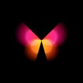 Butterfly isolated logo. Bright colorfull butterflies wings, dynamic movement, blurred effect. Abstract vector logotype