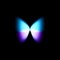 Butterfly isolated logo. Bright colorfull butterflies wings, dynamic movement, blurred effect. Abstract vector logotype