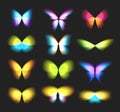 Butterfly isolated logos set. Bright colorfull butterflies wings, dynamic movement, blurred effect icons set. Abstract Royalty Free Stock Photo