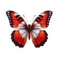 Butterfly isolated on transparent white background, beautiful red and white butterfly flying over white background, top view, flat Royalty Free Stock Photo