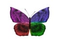 butterfly isolated on white background. wings with purple, blue, green, red Royalty Free Stock Photo