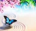 Butterfly In Japanese Rock Garden With Sakura Blossoms Royalty Free Stock Photo