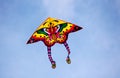 Butterfly kites