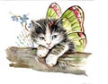 Butterfly kitten