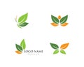 Butterfly leaf Logo Template