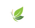 Butterfly leaf Logo Template