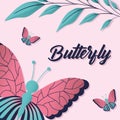 butterfly lettering on a pink background