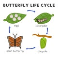 Butterfly life cycle diagram chart in science subject kawaii doodle vector Royalty Free Stock Photo