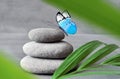 Butterfly, Light and Balanced Stones. Palm Leaf. Zen and Spa Concept. Royalty Free Stock Photo