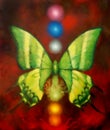 Butterfly with light energetic chakras. Painting and graphic design. Royalty Free Stock Photo