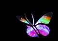 Butterfly Light Painting Image Royalty Free Stock Photo