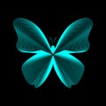 Butterfly lines vector illustration. Neon lines on black eps10