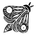 Butterfly. Linocut handmade vector illustration. Black color. Isolated on white Royalty Free Stock Photo