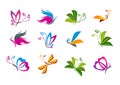 Butterfly logo design Royalty Free Stock Photo
