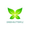 Butterfly logo icon with green leaves concept design. natural beauty, spa, salon, boutique logo. cosmetic brand logo