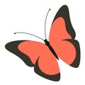 Butterfly logo. Modern art colorful fashion abstract wings for corporate designing vector shape