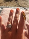 Butterfly love at hilltop resort