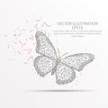 Butterfly low poly wire frame on white background.