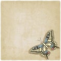 Butterfly machaon old background