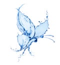 Butterfly made of water splashes isolated on a white background