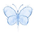 Butterfly made of water splashes isolated on white background Royalty Free Stock Photo