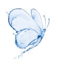 Butterfly made of water splashes isolated on white background Royalty Free Stock Photo