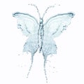 Water butterfly Royalty Free Stock Photo