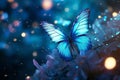 butterfly magical fairytale world