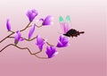 Butterfly on Magnolia flower Royalty Free Stock Photo