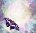 Butterfly messages border Royalty Free Stock Photo