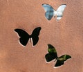 Butterfly metal work. Royalty Free Stock Photo