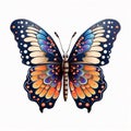 Butterfly metamorphosis a reminder of the power of change