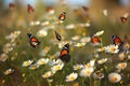 butterfly migration landing on field of wildflowers